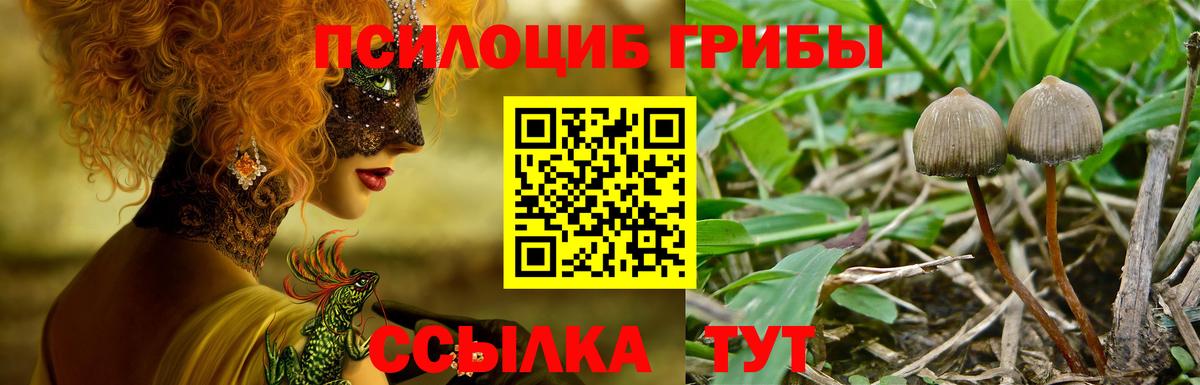 Михайловка  Галлюциногенные грибы MAGIC MUSHROOMS  Вход с VPN 